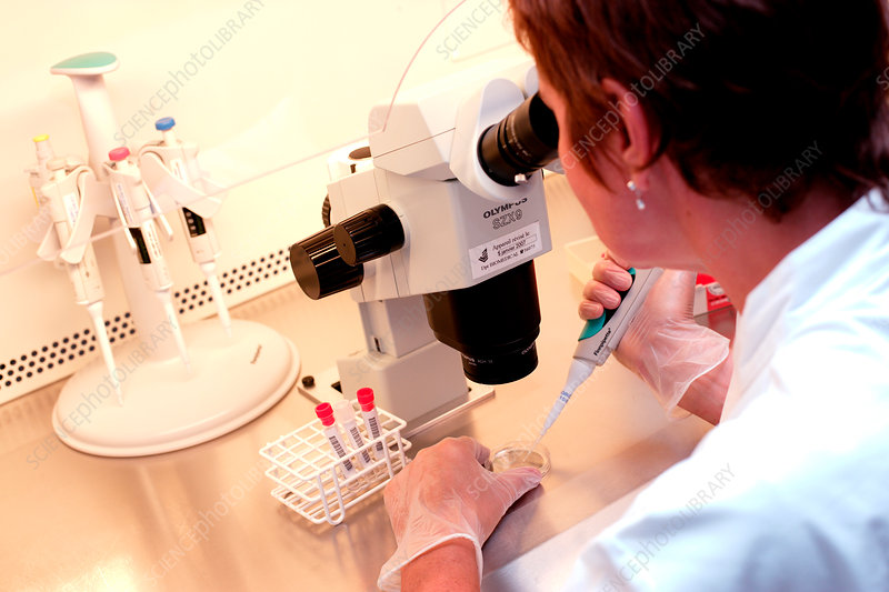 国内试管婴儿可以选择性别吗?(图4)