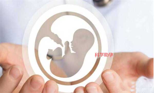 为什么都选择试管婴儿而不是人工受精?(图3)